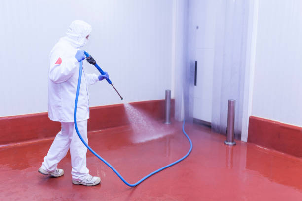 Best Winterizing Services  in Arp, TX