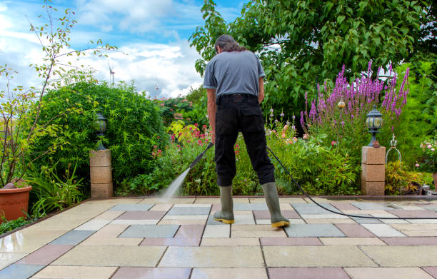 Arp, TX  Pressure Washing Services Company