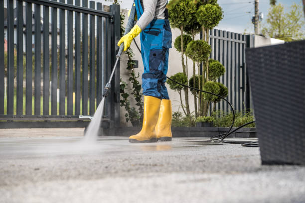 Best Patio and Deck Pressure Washing  in Arp, TX